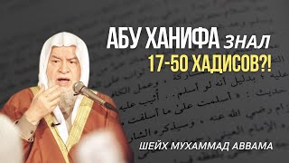 Абу Ханифа знал 17-50 хадисов?! | Шейх Мухаммад Аввама حفظه الله | АЛЬ КУФА