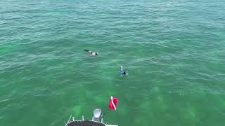 Bahia Honda state park fishing trip 2023 #bahiahonda #florida  #floridakeys #snorkeling