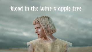 Blood In The Wine X Apple Tree | lyric video | short | Aurora’s Warriors