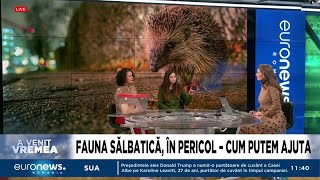 A VENIT VREMEA - Sezonul 2, episodul 8: Fauna sălbatică, în pericol – cum putem ajuta