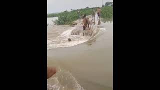 আমি চিৎকার করে কাদিতে চাহিয়া করিতে পারিনি চিৎকার  । Ami chitkar kore kadite #short #trending