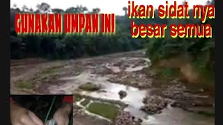 MANCING DI SPOT YANG INDAH DAN IKAN SIDATNYA BESAR-BESAR//PENJELAJAH SUNGAI