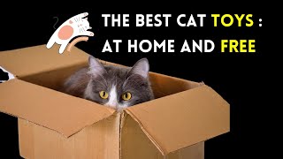 The Best Cat Toys Are Actually at Home and Free | Homemade Cat Toy Ideas