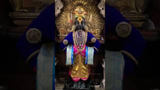 Pandharpur Ekadasi #shorts #shortsfeed #youtubeshorts #youtubeshorts