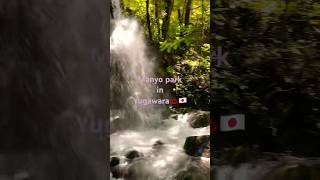 Onsen town, Yugawara , Japan / Beautiful Park with waterfalls #nature #travel #japan #relaxing