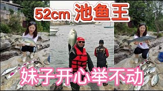 【Sydney Fishing】澳洲生活 Huge Trevally 52cm 悉尼钓鱼  52公分池鱼王 比钓黑毛还刺激  妹子很满意 今天就吃池鱼刺身