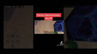 Placing 1 Block Everyday In Minecraft - Day 79