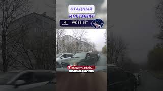 ☝️ОНИ решили ЧТО УМНЕЕ ОСТАЛЬНЫХ🤬🤬🤬#shorts