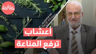 في موسم البرد والإنفلونزا: اكتشف الأعشاب التي تحمي جهازك المناعي!