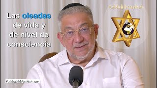 Oleadas de vida y niveles de consciencia