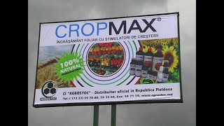 CROPMAX ARMANIA