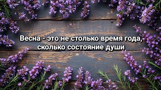 Посылка добра для ребят • В городе наконец-то тепло, зацвела сирень