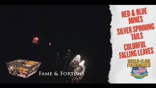 Fame & Fortune - 500 Gram Fireworks Repeater Cake