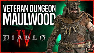 Diablo 4 Maulwood Veteran Dungeon Druid Gameplay