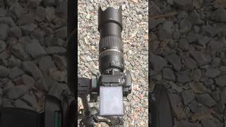 Nikon D5600 Camera Photography New Look #shorts