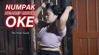 NUMPAK NGAREP OKE MBURI OKE - FILM PENDEK KOMEDI - Eps. 66