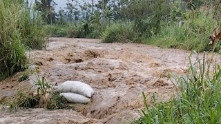 Sungai Aliran cisangkuy kp.cirangang cangkuang meluap