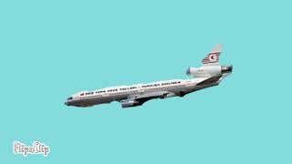 Turkish airlines Flight 981 - Crash Animation