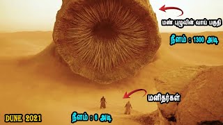 மனிதர்களை விட ஆயிரம் மடங்கு பெரிய மண்புழு