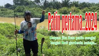 Patin sungai langat yang pertama 2024..(lubuk dan umpan jitu ikan patin)