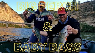 On pêche dans une nurserie à BLACKBASS!