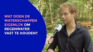 Waterbazenvraag: Wat doen waterschappen eigenlijk om regenwater vast te houden?