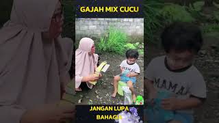 GAJAH MIX CUCU BIKIN NGAKAK #komedi #lucu #funny