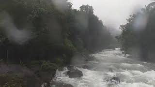 chembukadav- #kerala #rivers#nature #thusharagiri lower