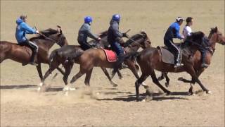 Скачки, Ат Жарыс 12.06.17г. Олимпиада Кош-Агачского района дист. 4800м. Каhарман 1 место.