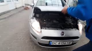 FIAT PUNTO 2013 Стрий