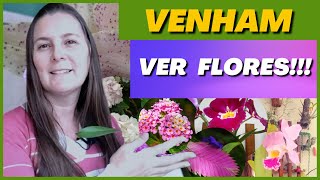 TOUR pelo meu orquidário #3