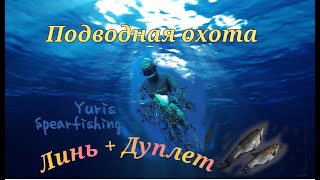 Подводная охота ЛИНЬ + ДУПЛЕТ