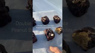 Double Layer Chocolate Peanut Butter Protein Bites (13 G protein PER PIECE!) recipe in description