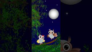 প্যাঁচানীর গান #cartoon #birds #animationshorts #owl #animation #cute #funny #kids