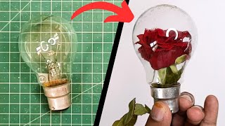 Growing rose inside an electric bulb