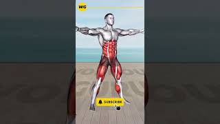 ➜ Get Your Six Pack On ➜ Standing Abs Workout for Men s Fitness Exercise #9