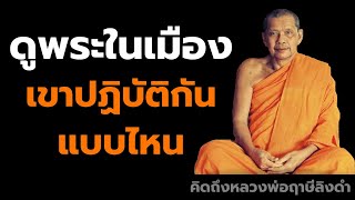 หลวงพ่อฤาษีลิงดำ ดูพระในเมือง เขาปฏิบัติกันแบบไหน ฟังธรรมะก่อนนอน คิดถึงหลวงพ่อฤาษีลิงดำ