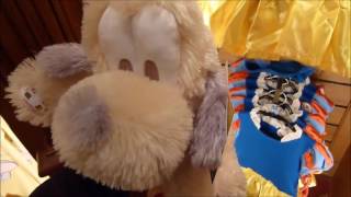 Peluches interactives Disney (2016) - Disneyland Paris