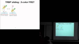 Imaging molecules by Prof. Sua Myong, UIUC