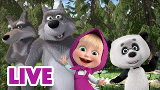 🔴 LIVE! Maşa İle Koca Ayı 🐼🐺 Haydi Kurtlarla ve Pandayla Oynayalım 😄🤭 Masha and the Bear