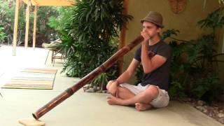 "Dark Drifter" Eucalyptus Didgeridoo by Thomas Wilika