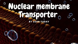 Nuclear Transport || Cell Trafficking || Cell Biology