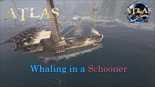 Atlas - What's the Prize for Killing a Whale?