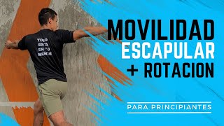 CÓMO hacer MOVILIDAD de ESCAPULAS + ROTACIÓN del TRONCO | ELIMINA el DOLOR de CUELLO