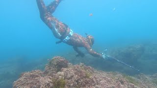 pescando lubinas en 2024 con los Hermanos Ruiz González del equipo Ffsub