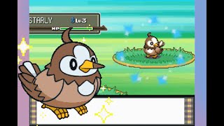 Live Shiny Starly after 5,455 REs in Pokemon Platinum!