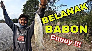 MANCING IKAN BELANAK BABON dengan Kail banyak di spot BERBAHAYA