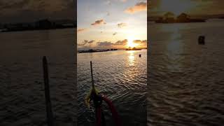 Sunset Spearfishing