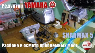 Редуктор Yamaha на китайском лодочном моторе Sharmax 5 разборка и осмотр проблемных мест!