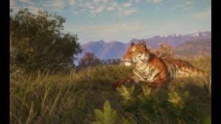 theHunter: Call of the Wild  Sundarpatan Nepal Hunting Reserve